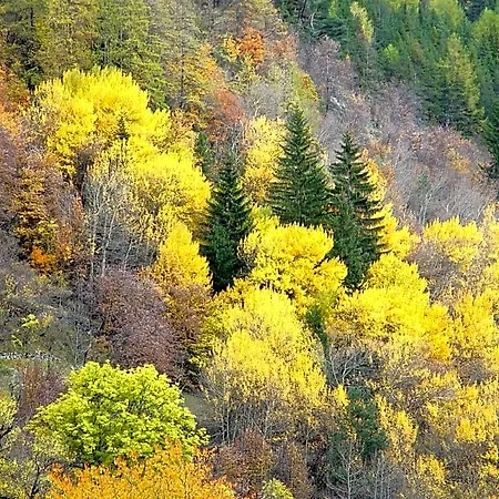 La Ressource * Villars-Colmars