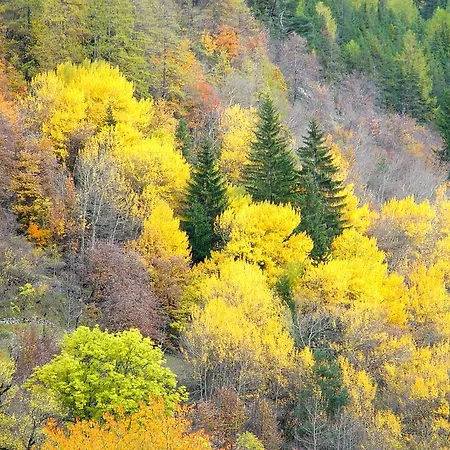 La Ressource Villars-Colmars