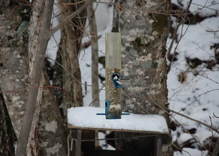 Bed & Breakfast La Ressource Villars-Colmars