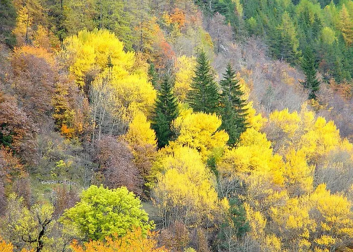 La Ressource Villars-Colmars